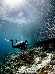 Jade & the Sardines by Henley Spiers 